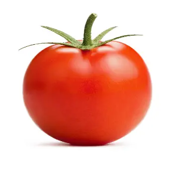 Tomato (12)-3986184-7595.webp